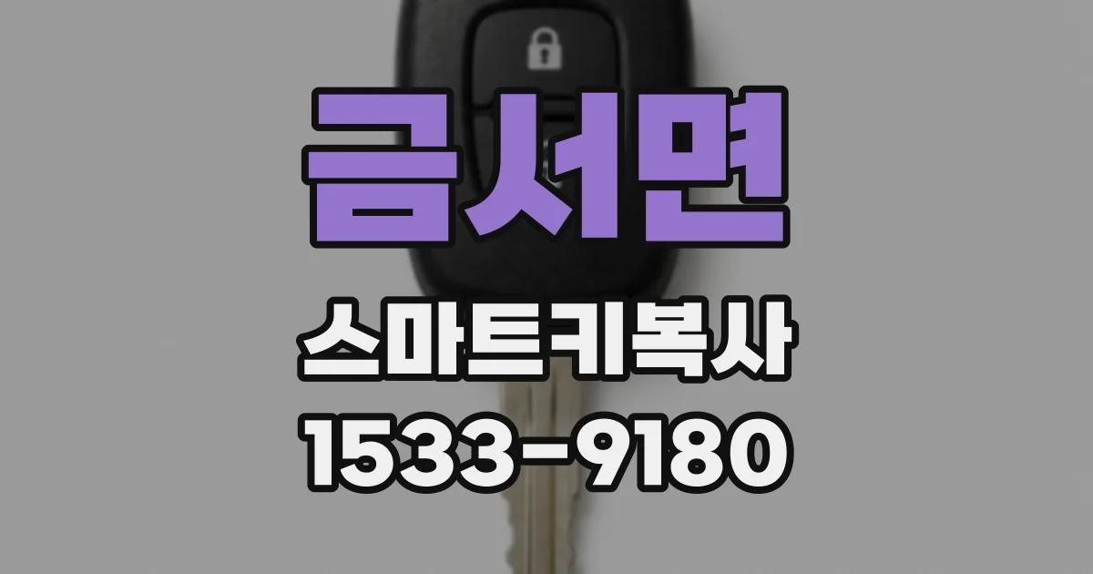 금서면 스마트키복사