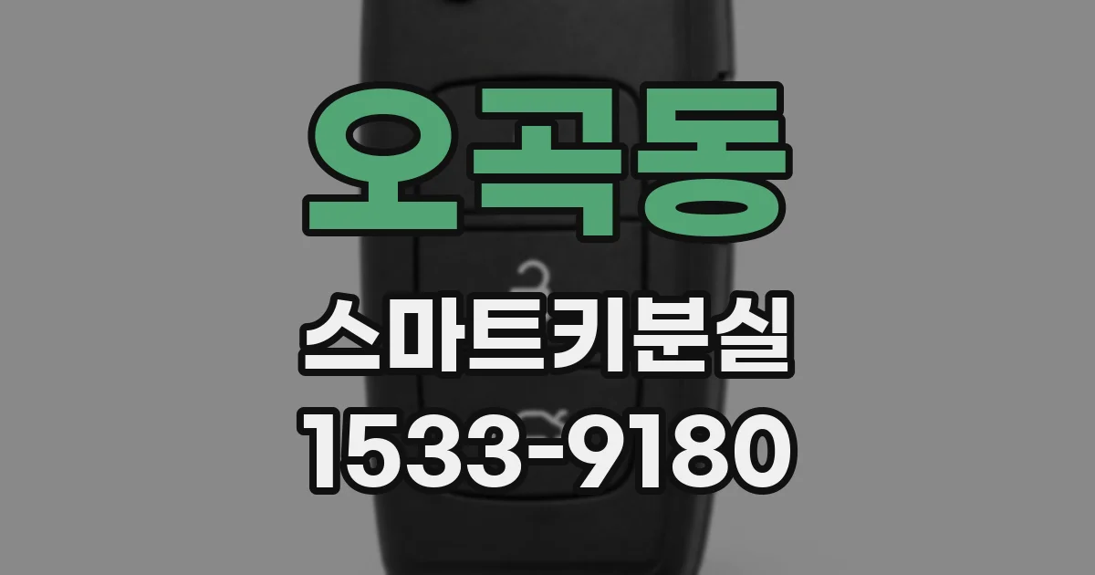 오곡동 스마트키분실