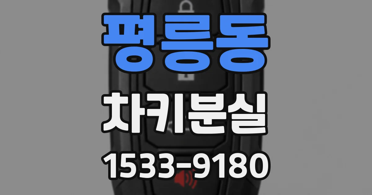 평릉동 차키분실