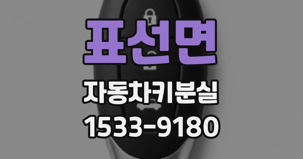 표선면 자동차키분실
