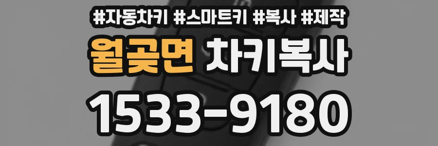 월곶면 차키복사