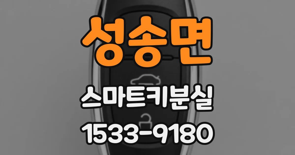 성송면 스마트키분실