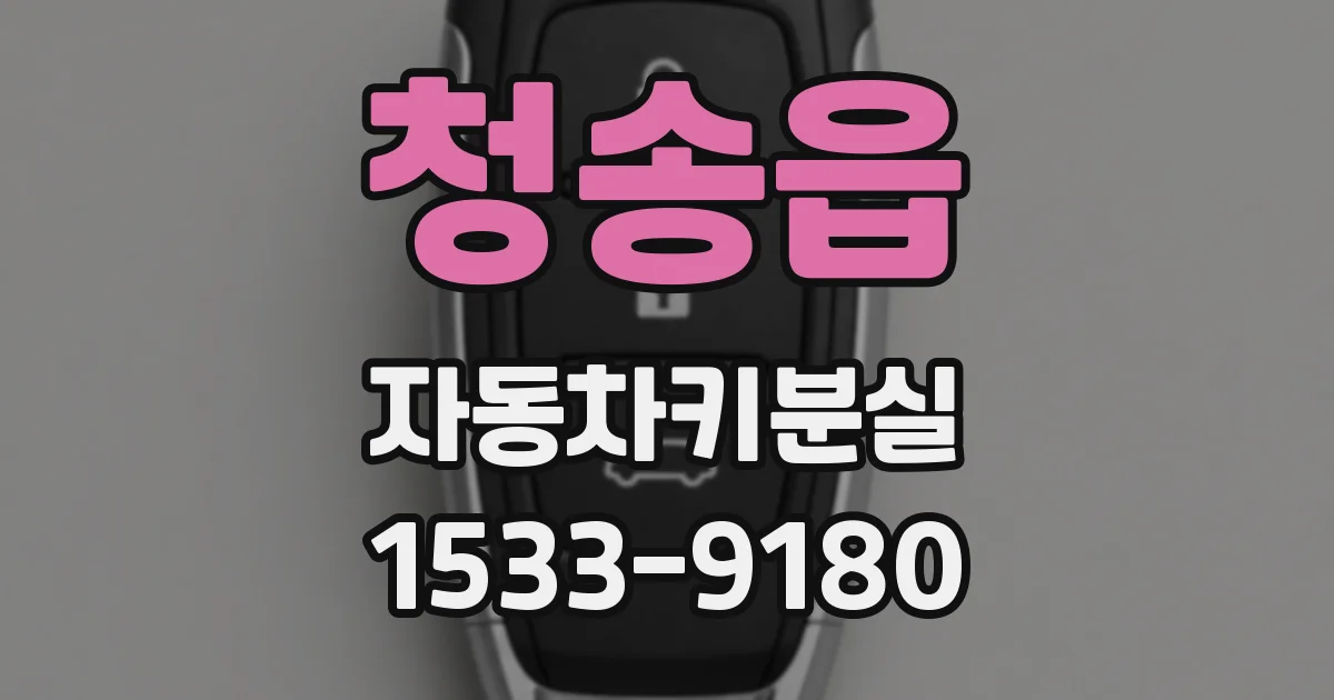청송읍 자동차키분실
