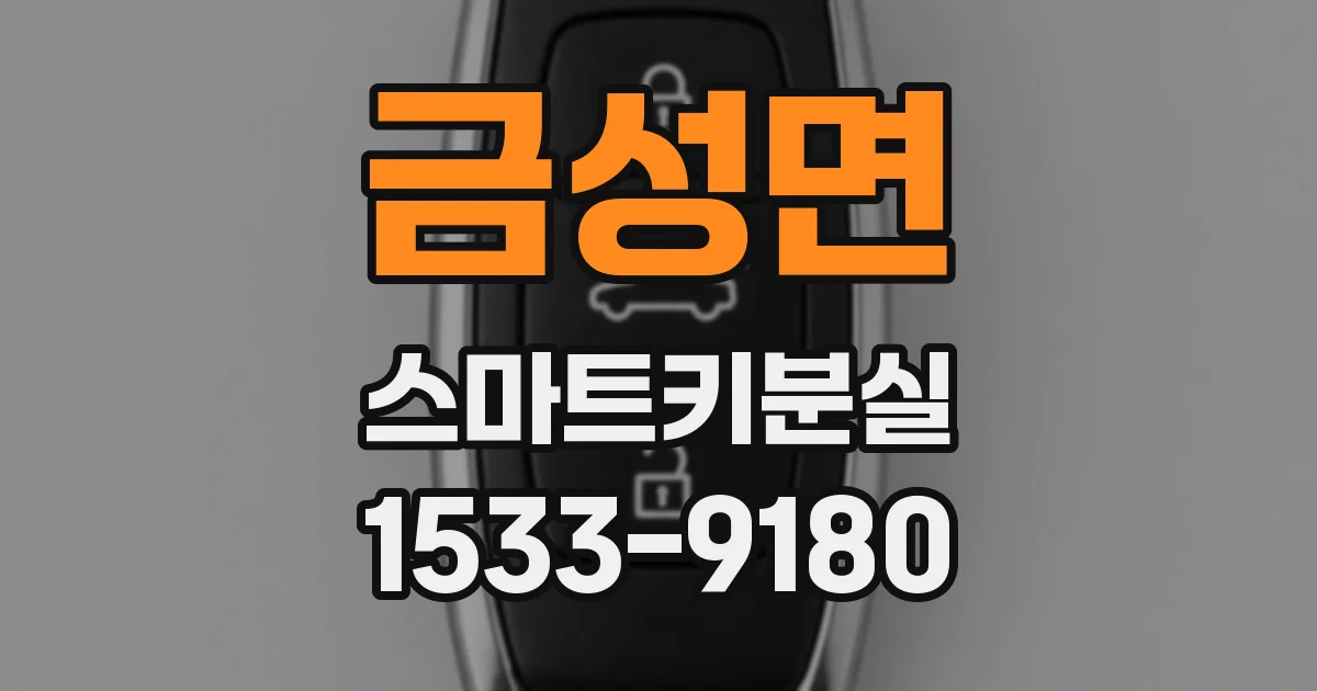 금성면 스마트키분실