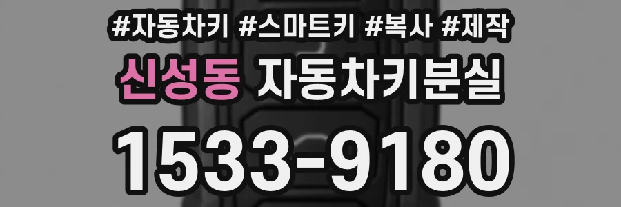 신성동 자동차키분실