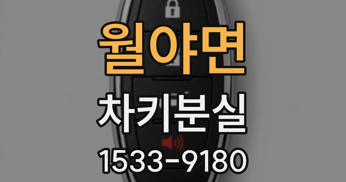 월야면 차키분실