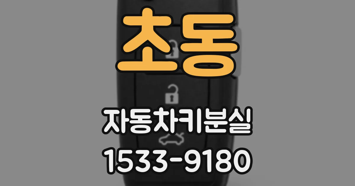 초동 자동차키분실