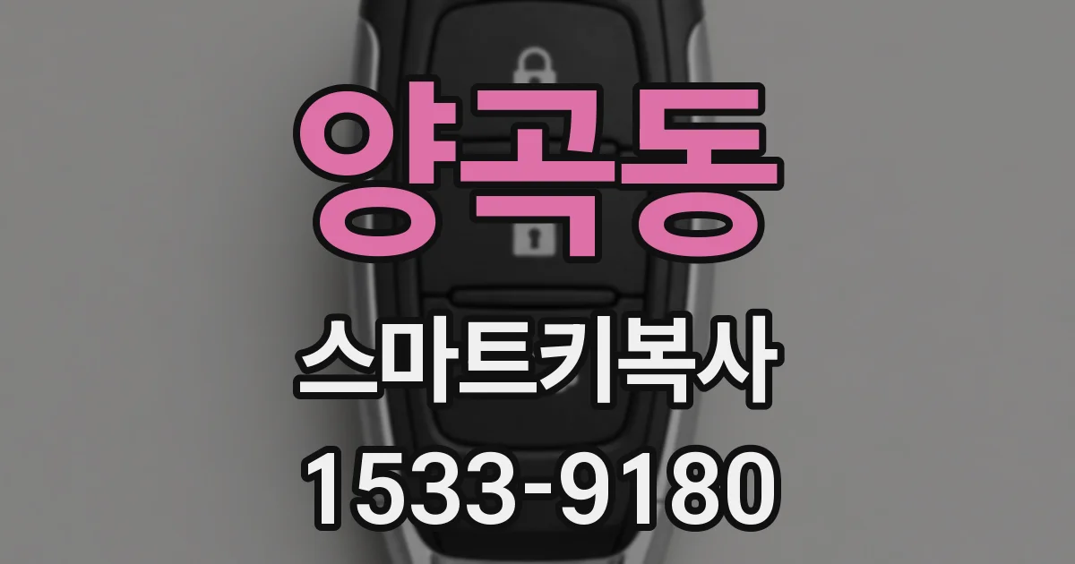 양곡동 스마트키복사