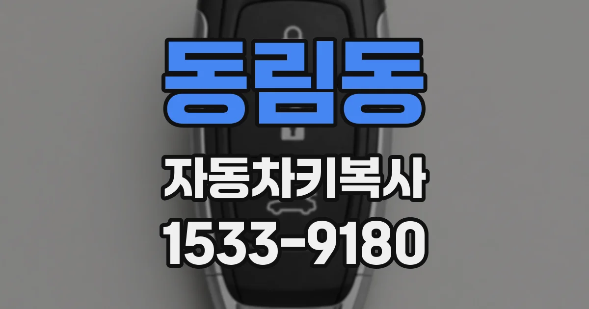동림동 자동차키복사