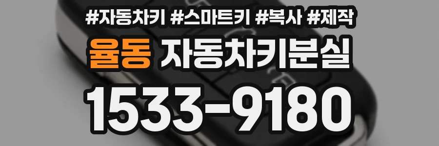 율동 자동차키분실