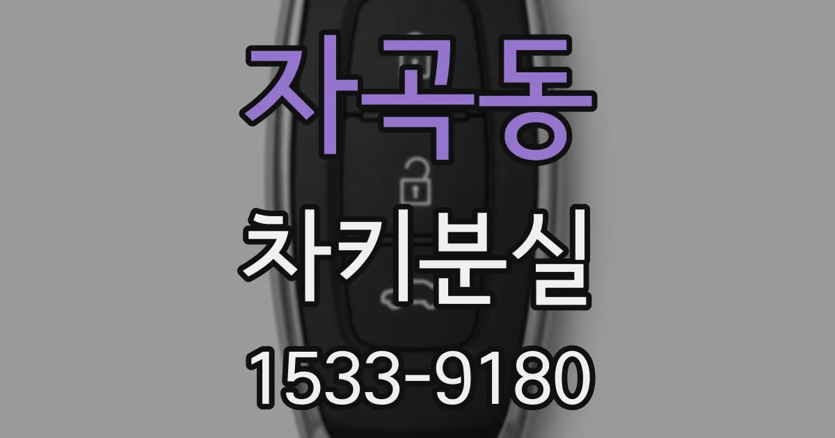 자곡동 차키분실