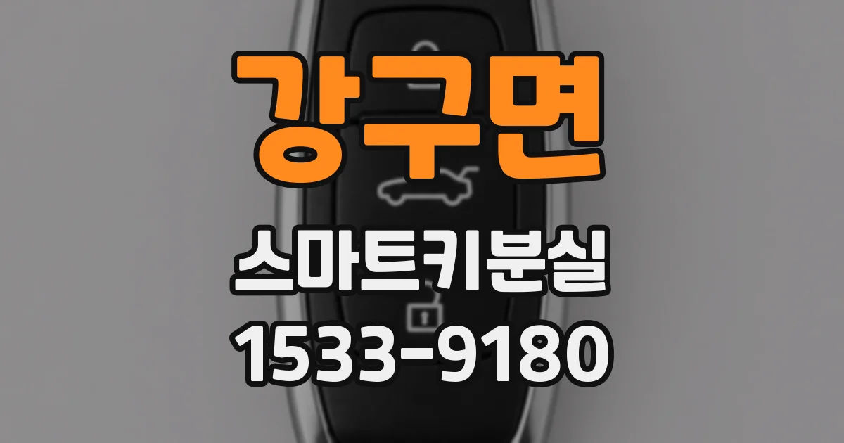 강구면 스마트키분실