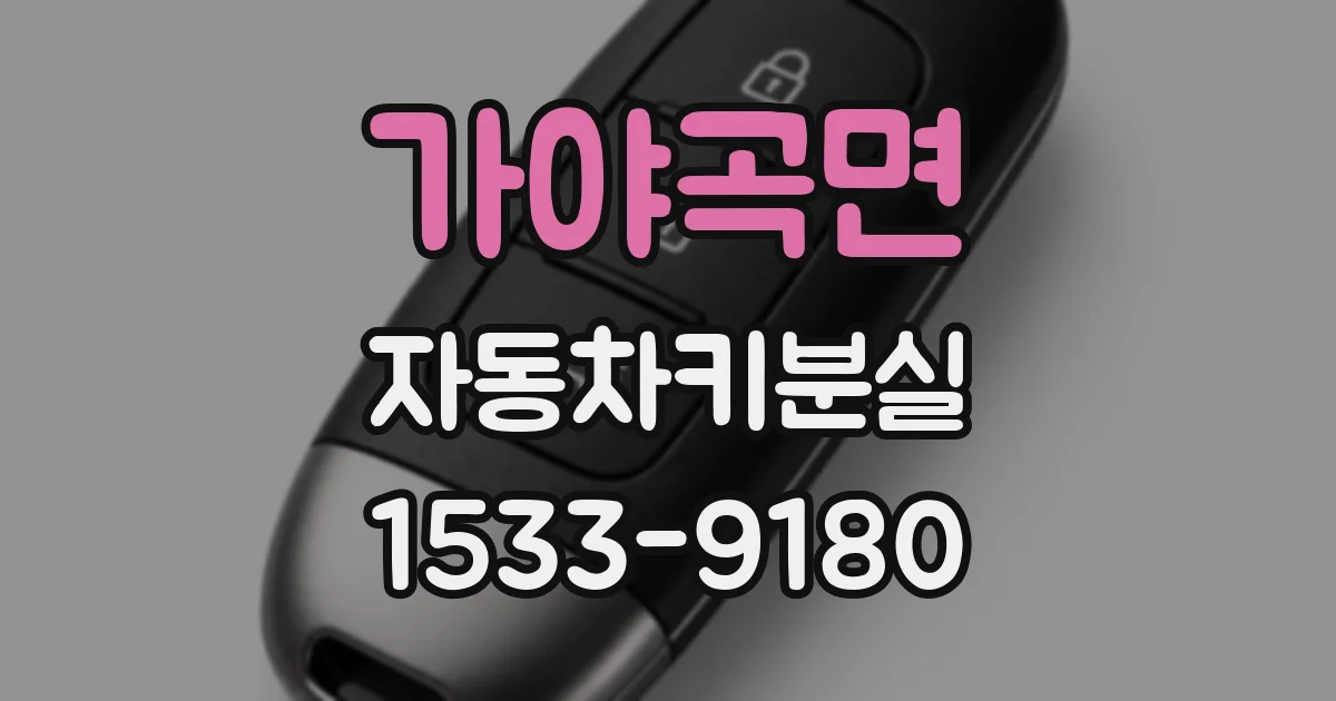 가야곡면 자동차키분실
