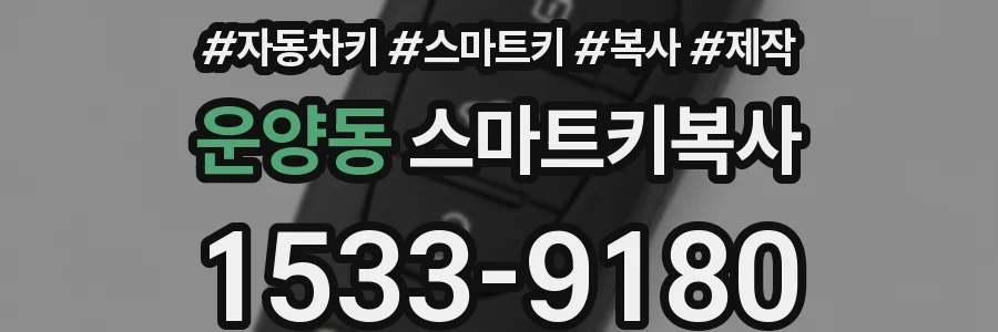 운양동 스마트키복사