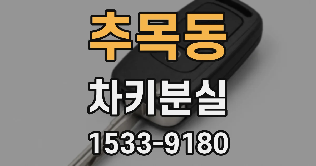 추목동 차키분실