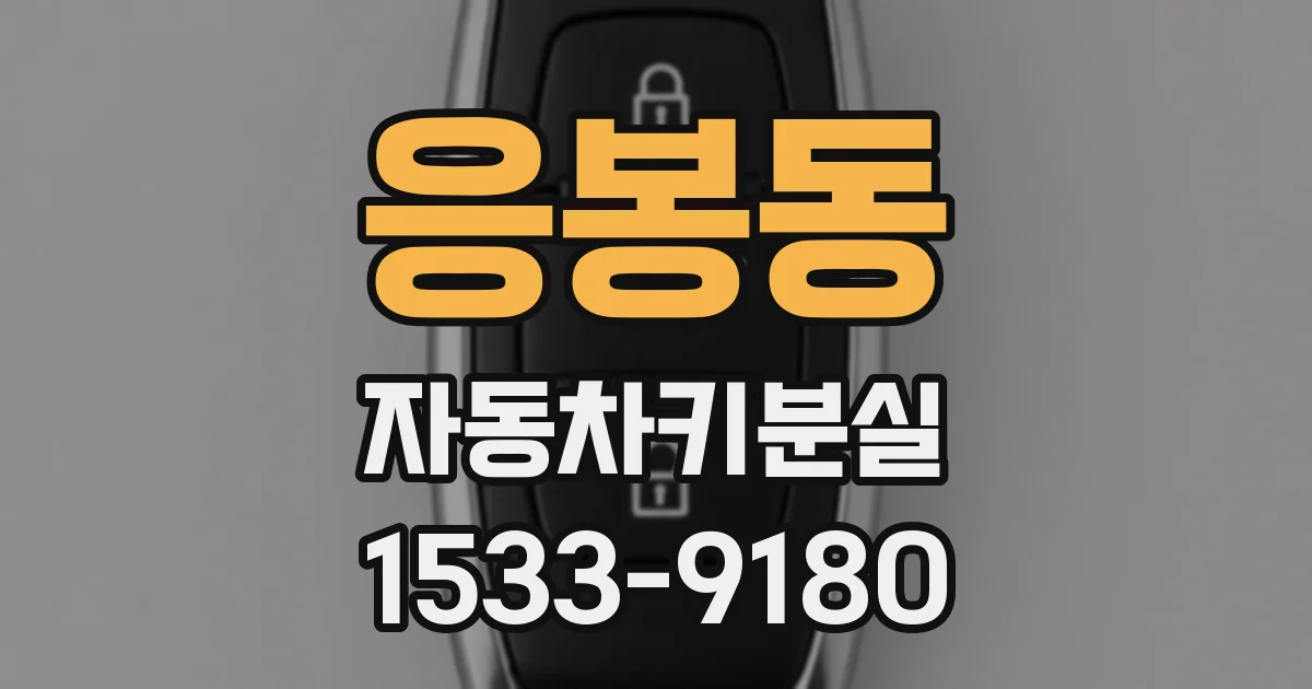 응봉동 자동차키분실