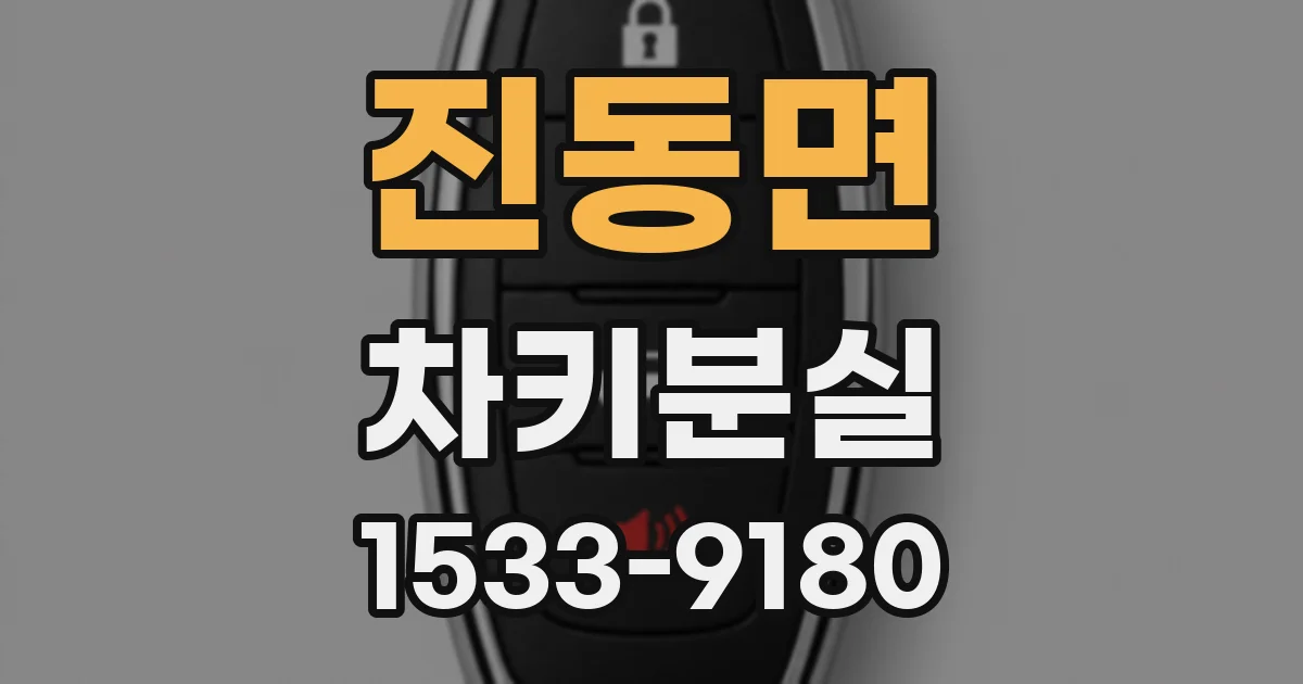 진동면 차키분실