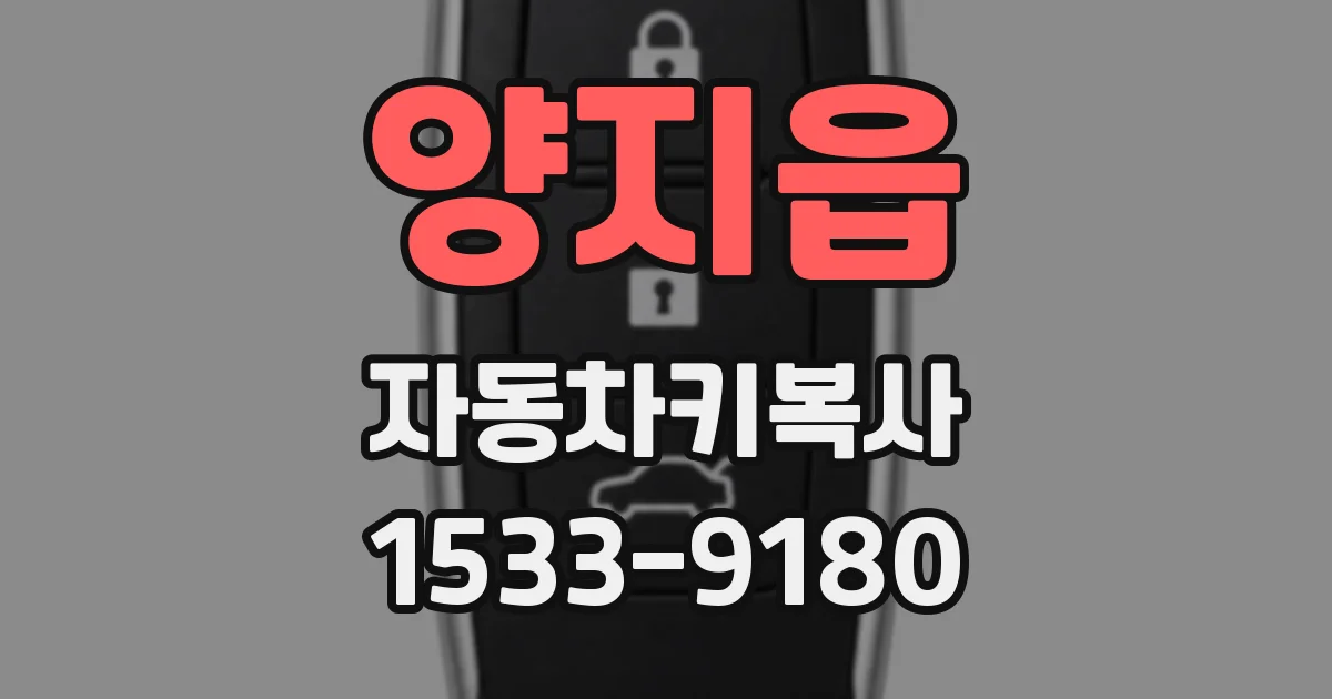 양지읍 자동차키복사
