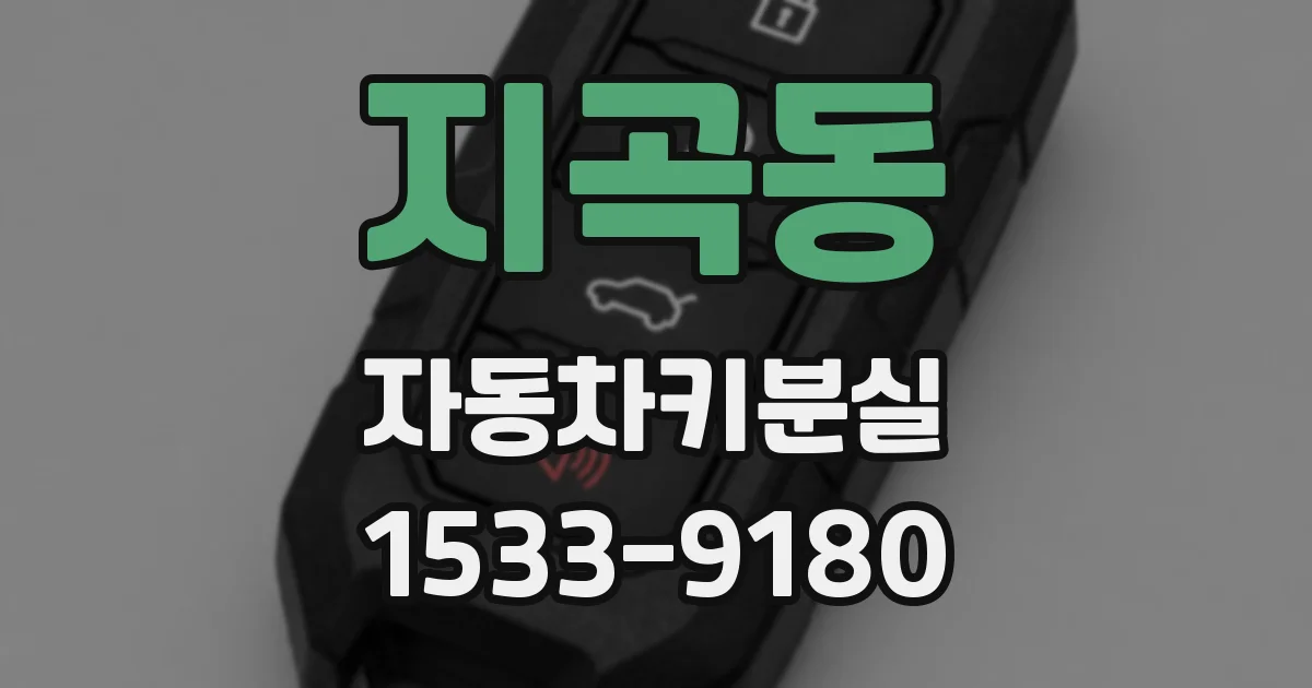지곡동 자동차키분실