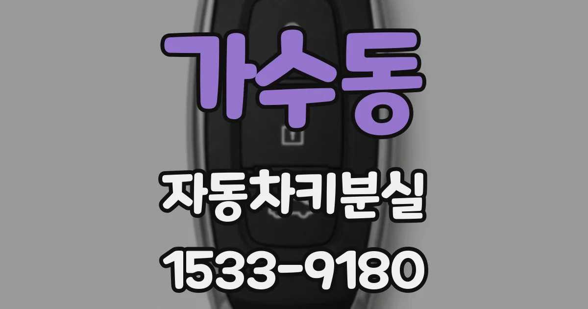 가수동 자동차키분실