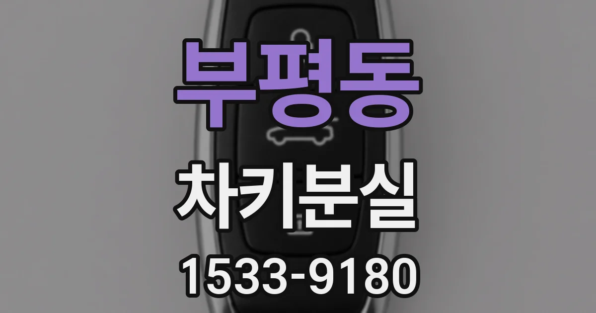 부평동 차키분실