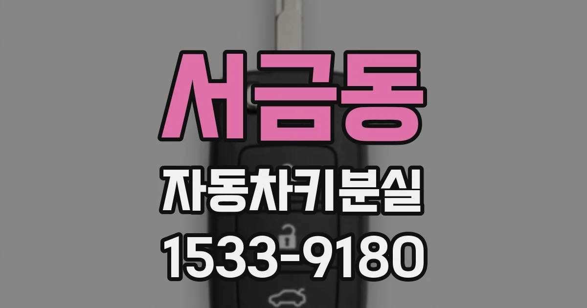 서금동 자동차키분실