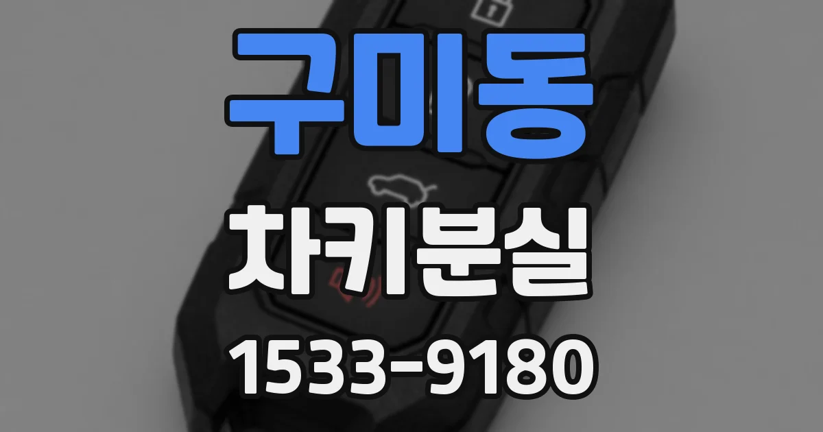 구미동 차키분실
