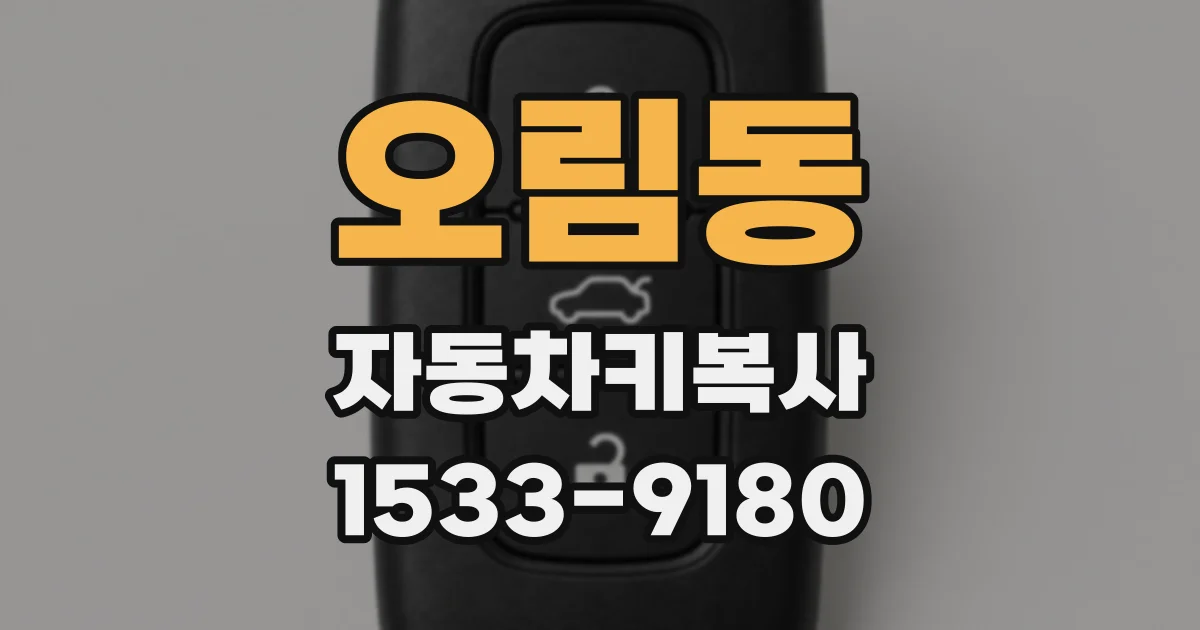 오림동 자동차키복사
