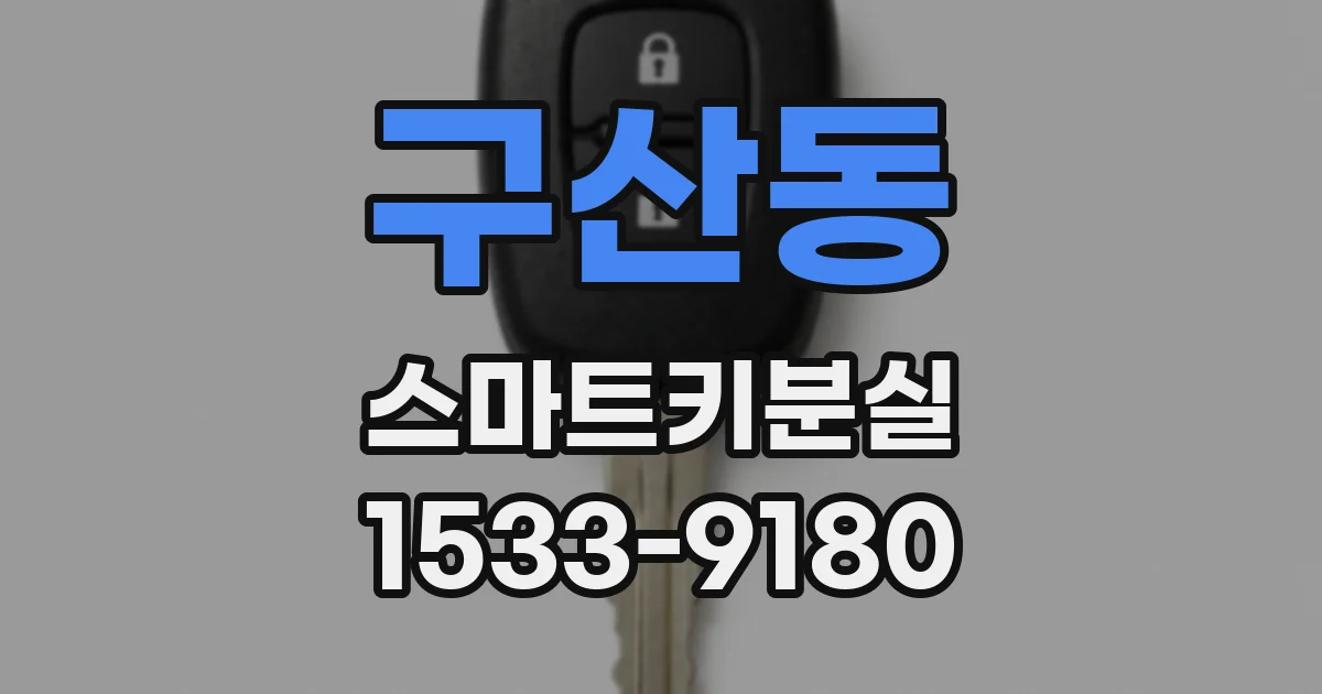 구산동 스마트키분실