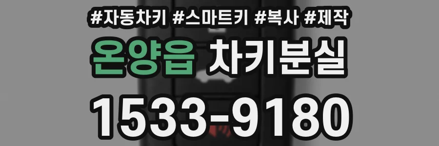 온양읍 차키분실