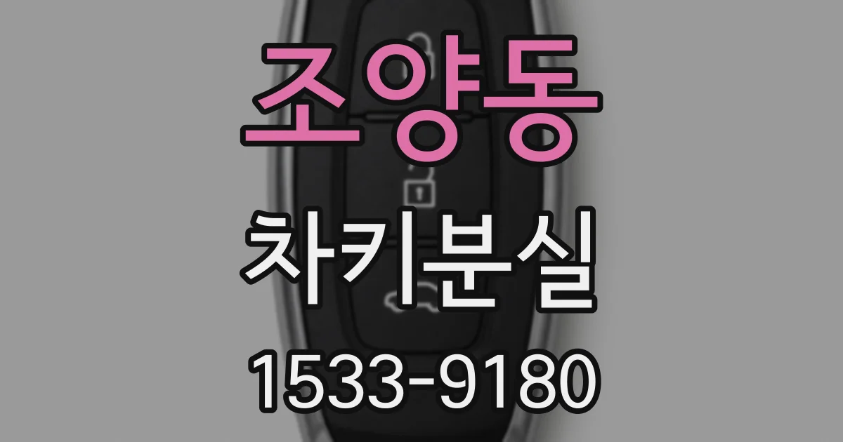 조양동 차키분실