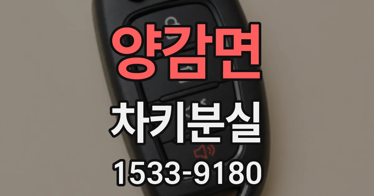 양감면 차키분실