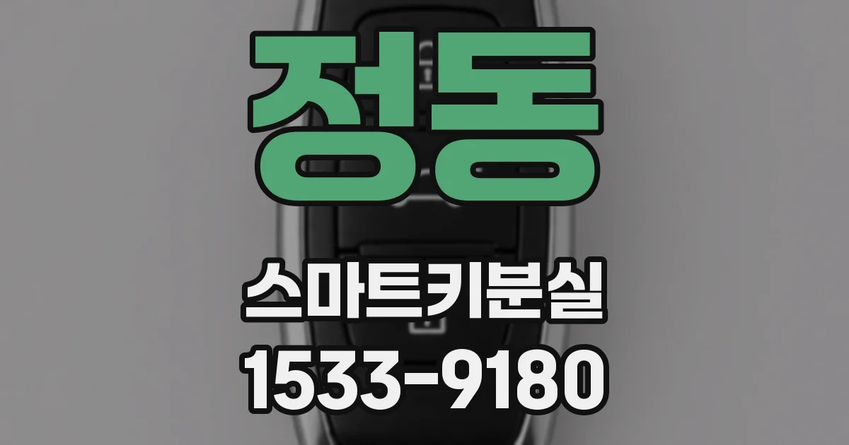 정동 스마트키분실