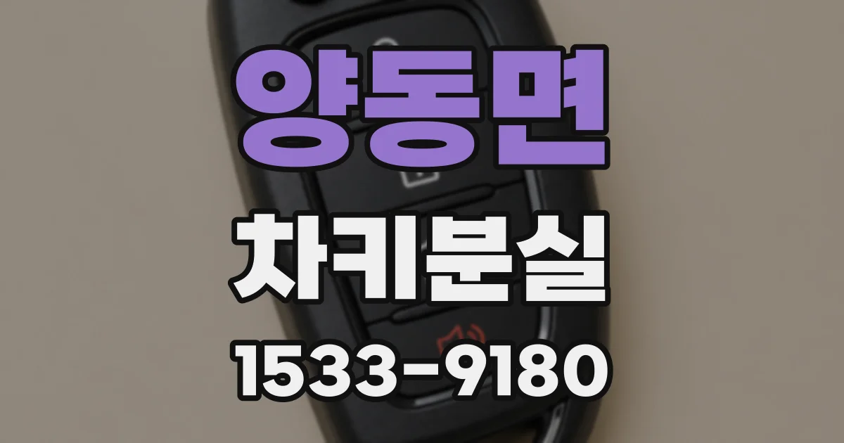 양동면 차키분실