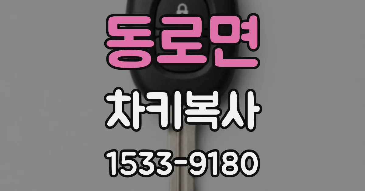 동로면 차키복사