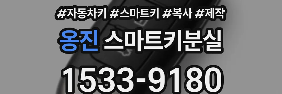 옹진 스마트키분실