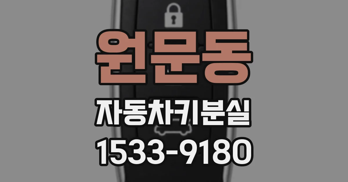 원문동 자동차키분실