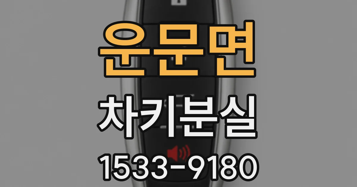 운문면 차키분실
