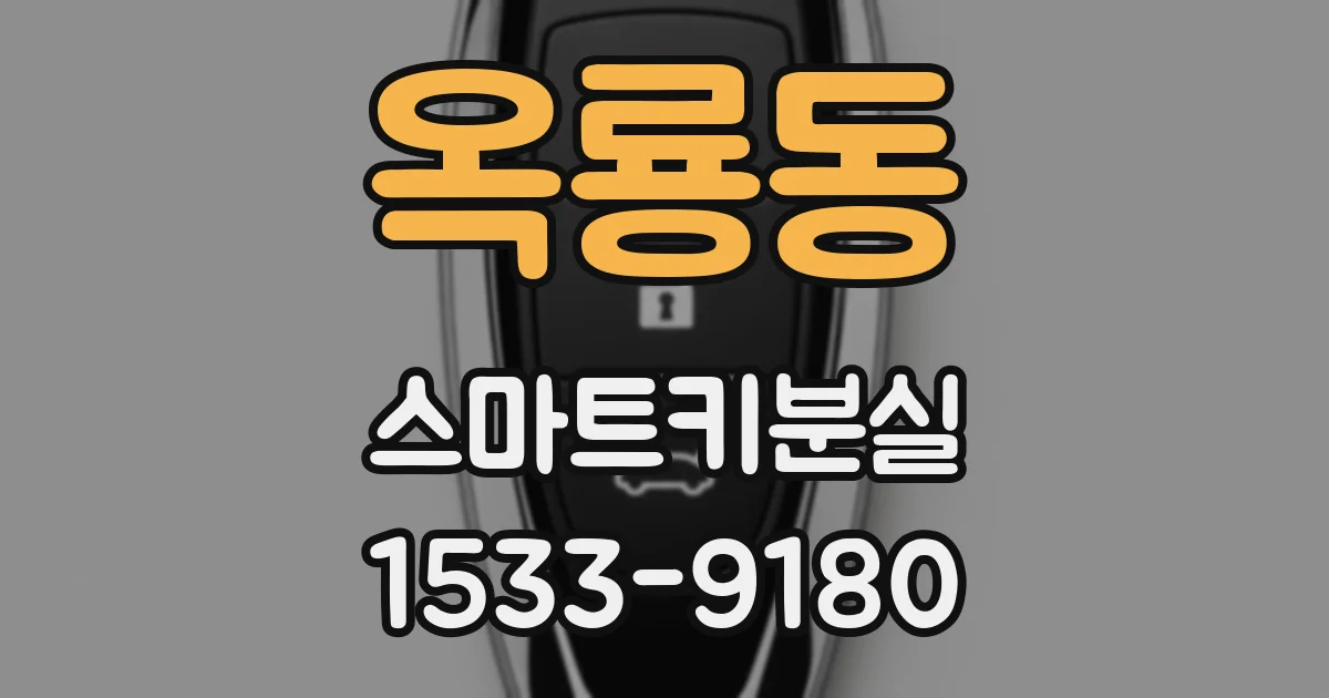 옥룡동 스마트키분실