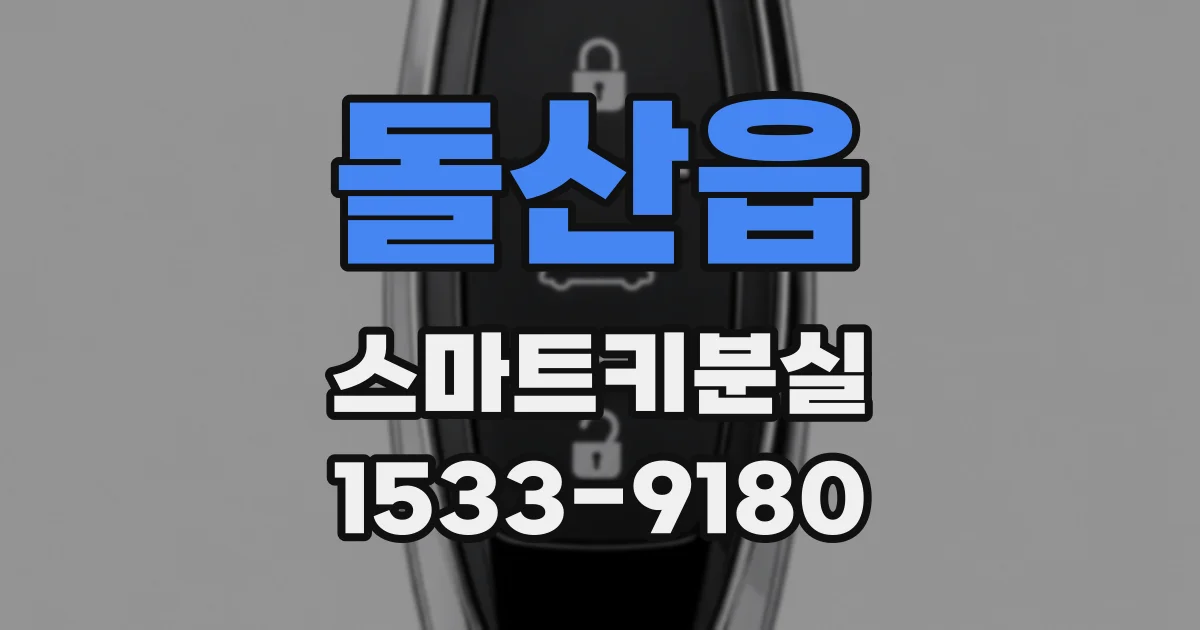 돌산읍 스마트키분실