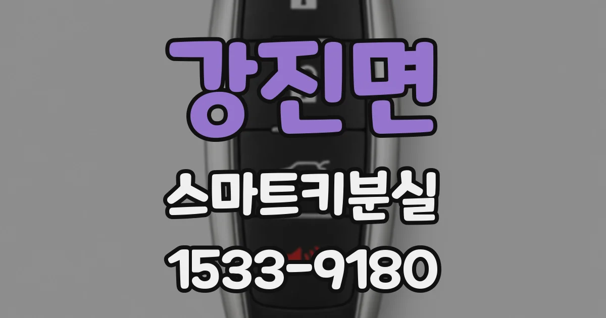 강진면 스마트키분실
