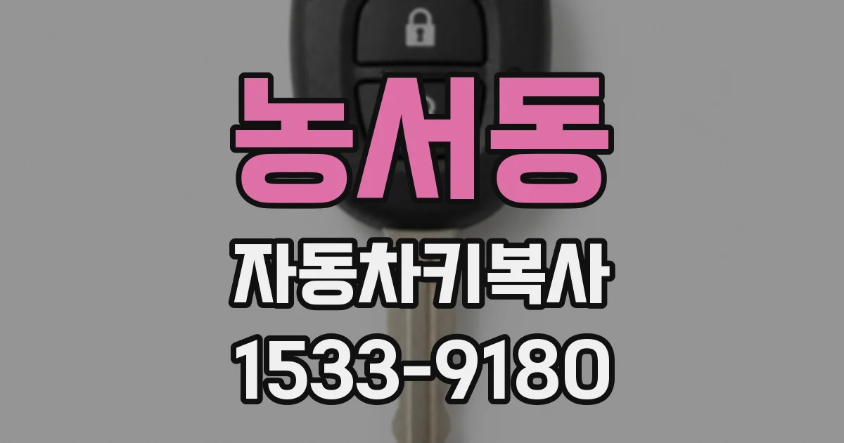 농서동 자동차키복사