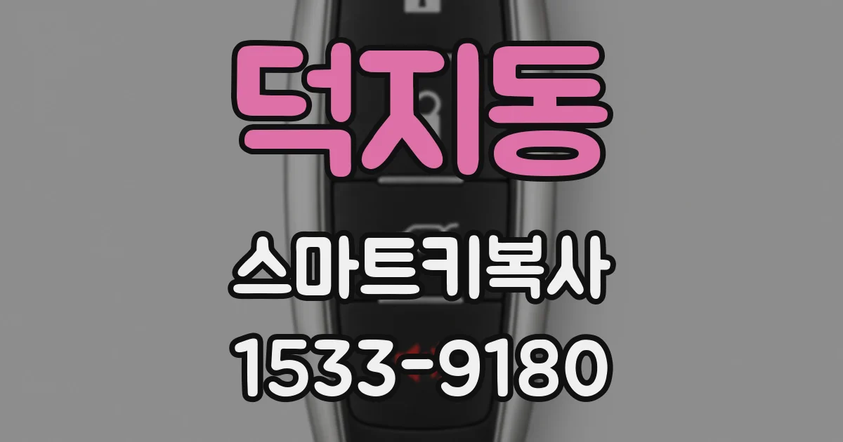 덕지동 스마트키복사