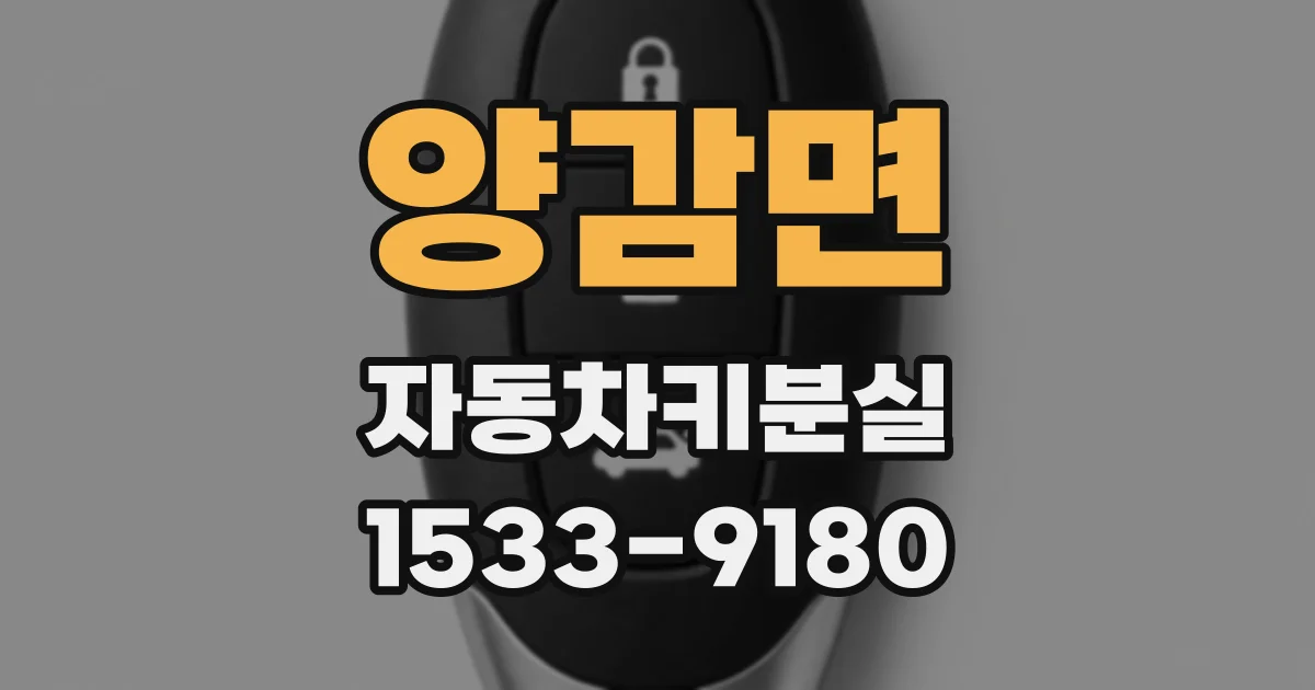 양감면 자동차키분실