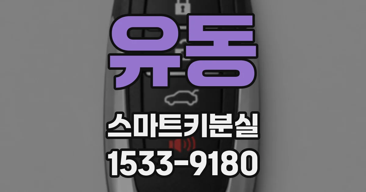 유동 스마트키분실