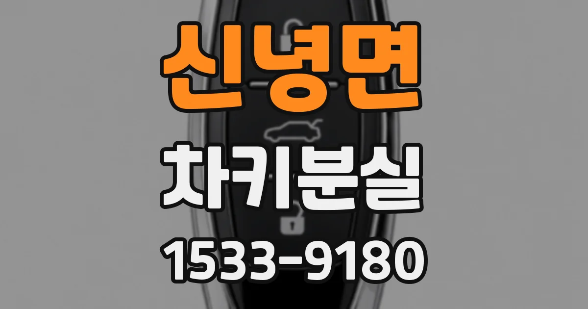 신녕면 차키분실