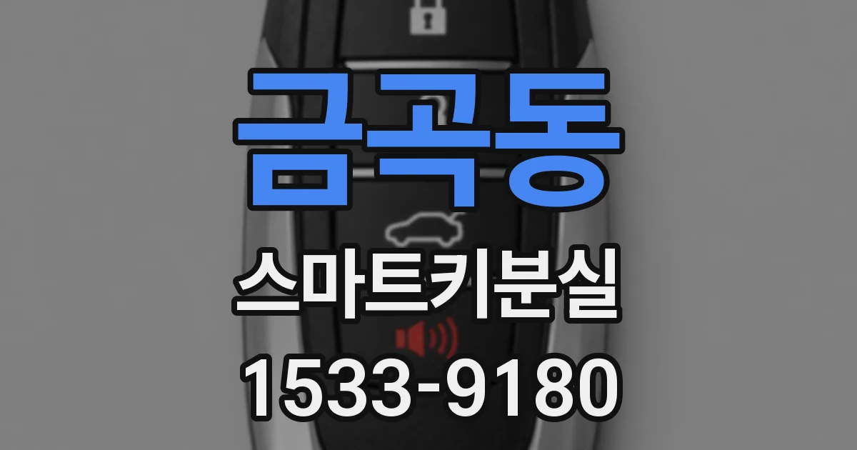 금곡동 스마트키분실