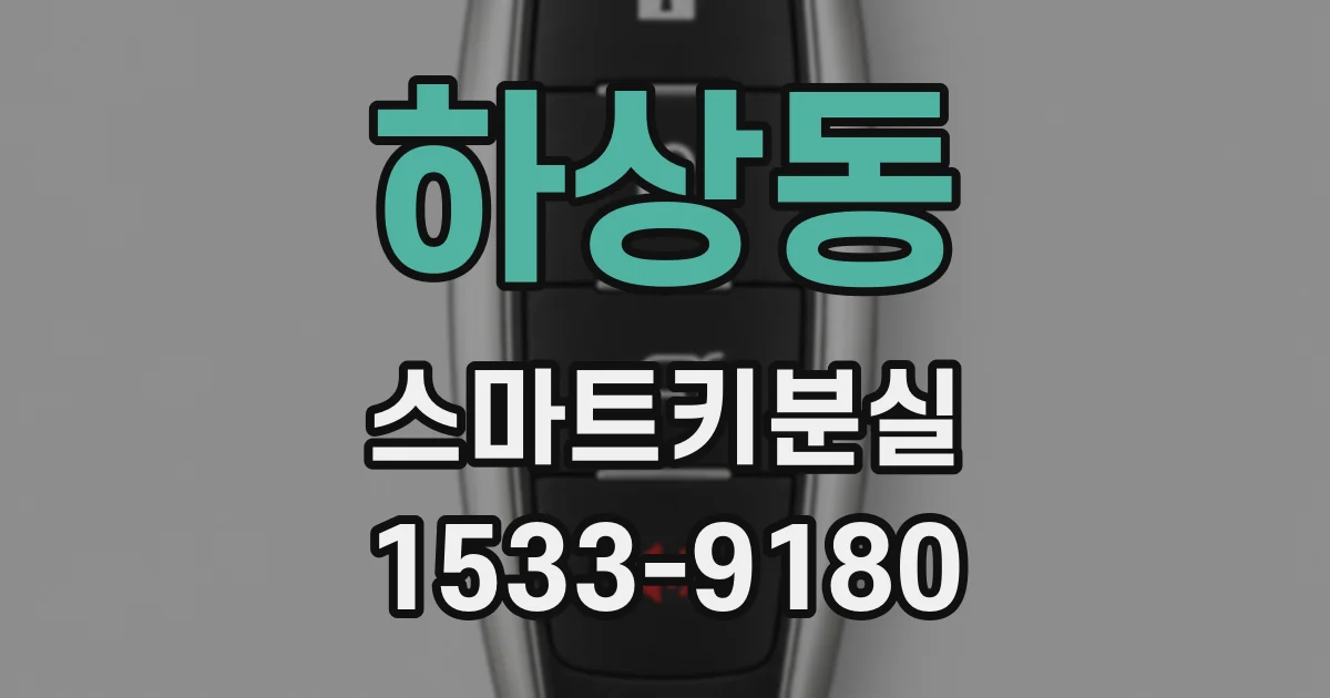 하상동 스마트키분실