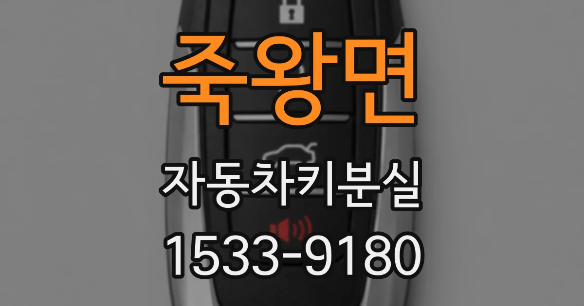 죽왕면 자동차키분실