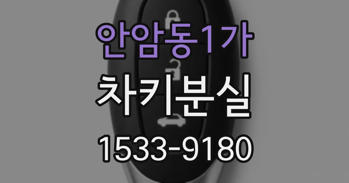 안암동1가 차키분실
